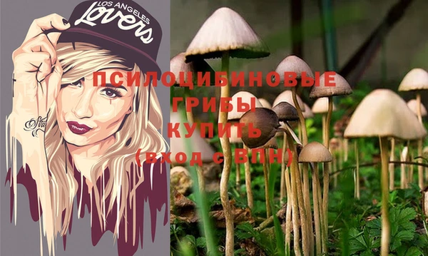 таблы Костерёво