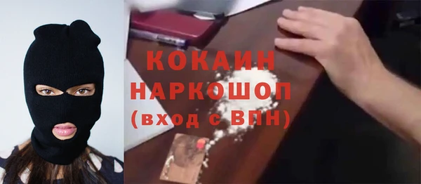 ГАЛЛЮЦИНОГЕННЫЕ ГРИБЫ Коряжма