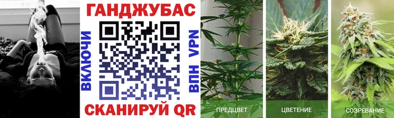 МАРИХУАНА сатива Купить где Севск
